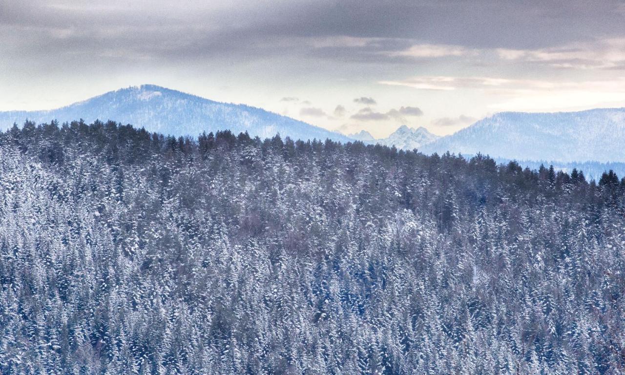 Sloneczny Chelm - Apartamenty W Gorach, Prywatna Sauna Jacuzzi Balia W Cenie, Spa, Grill, Stok Narciarski Myslenice, Sciezki Rowerowe, Rzeka Raba, Widok Na Tatry Exterior photo